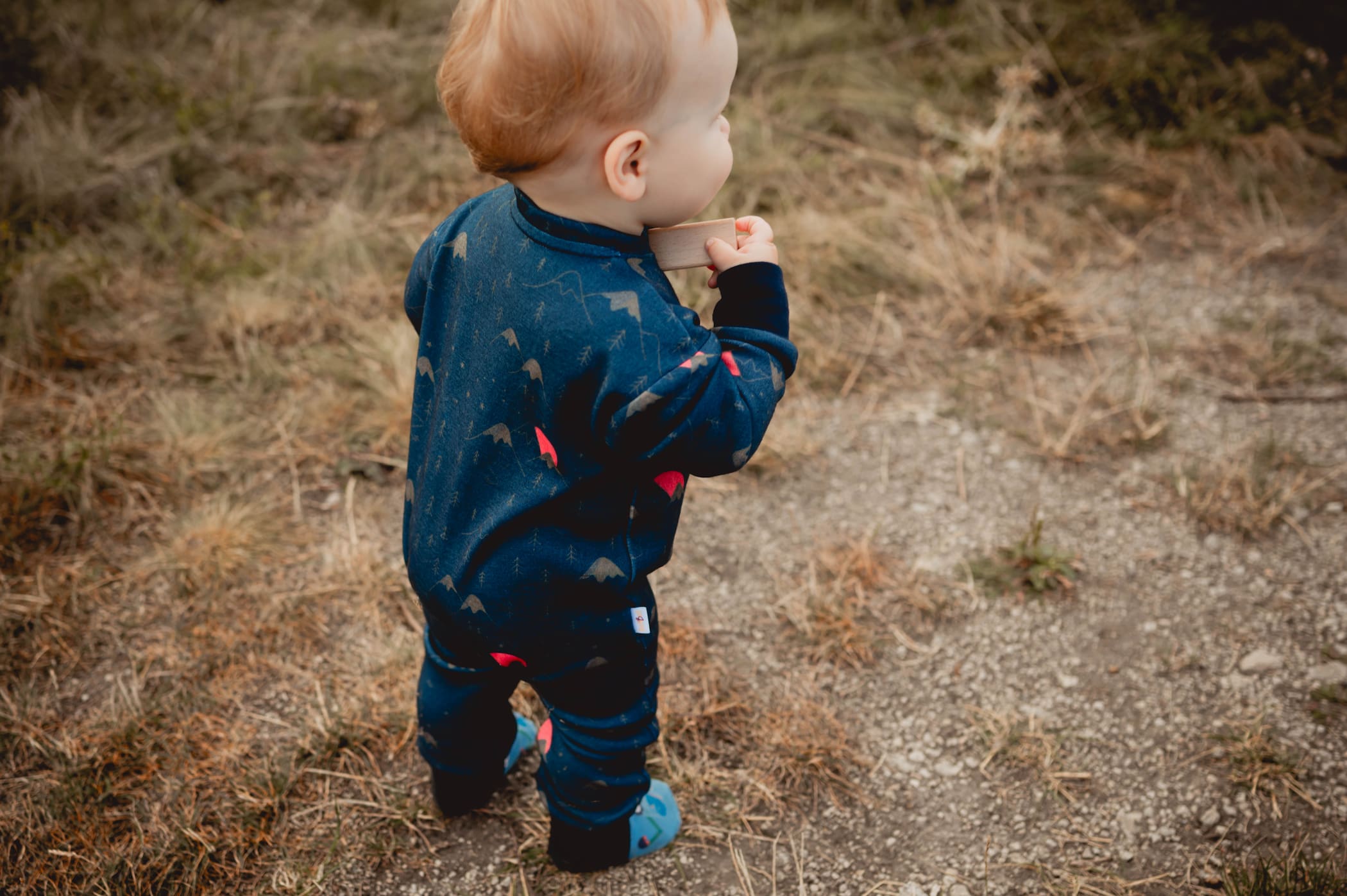 Merino overal – Modré hory