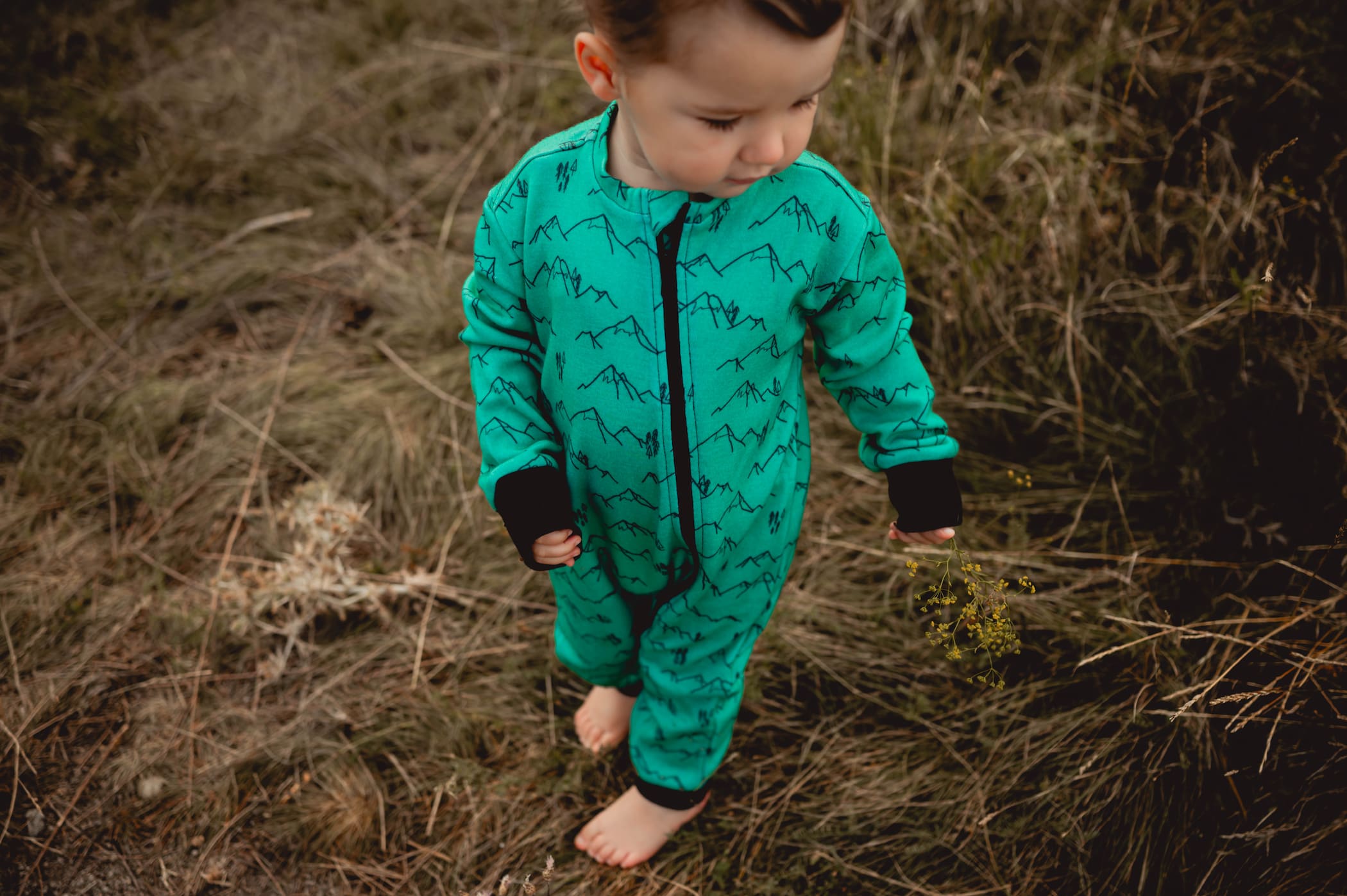 Merino overal – Zelené hory